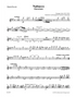 Verdi - Overture to Nabucco for Wind Quintet (Parts)