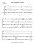 Daoust - The Acceptance of Sand for Flute, Oboe, Clarinet, and Bassoon (or Cello)