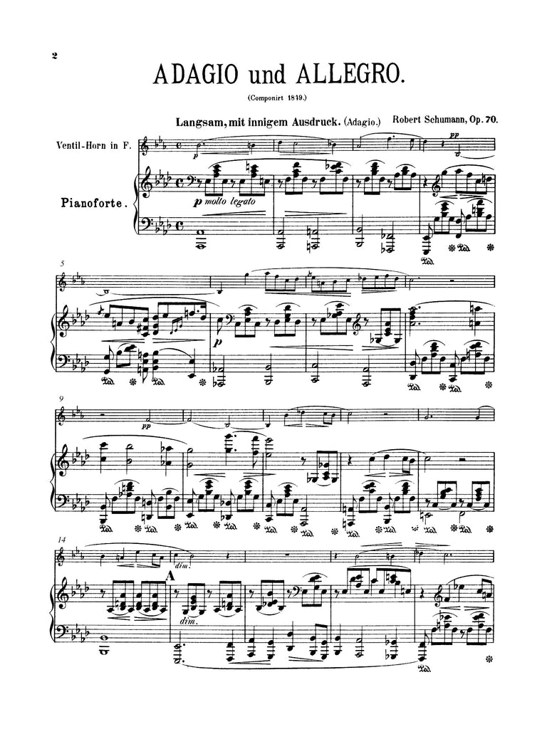 Schumann (arr. Matt Johnston) - Adagio and Allegro, Op. 70 for Alto Clarinet (or Basset Horn) and Piano
