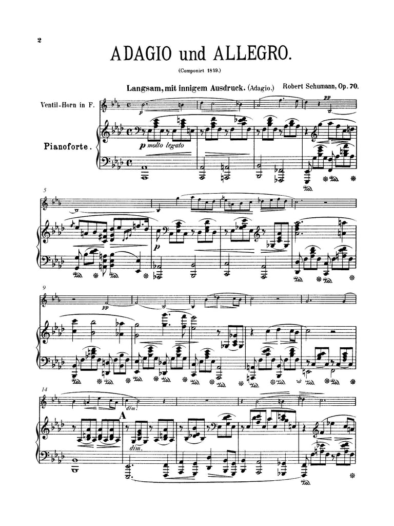 Schumann (arr. Johnston) - Adagio and Allegro, Op. 70 for Alto Clarinet (or Basset Horn) and Piano