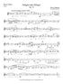 Schumann (arr. Johnston) - Adagio and Allegro, Op. 70 for Alto Clarinet (or Basset Horn) and Piano