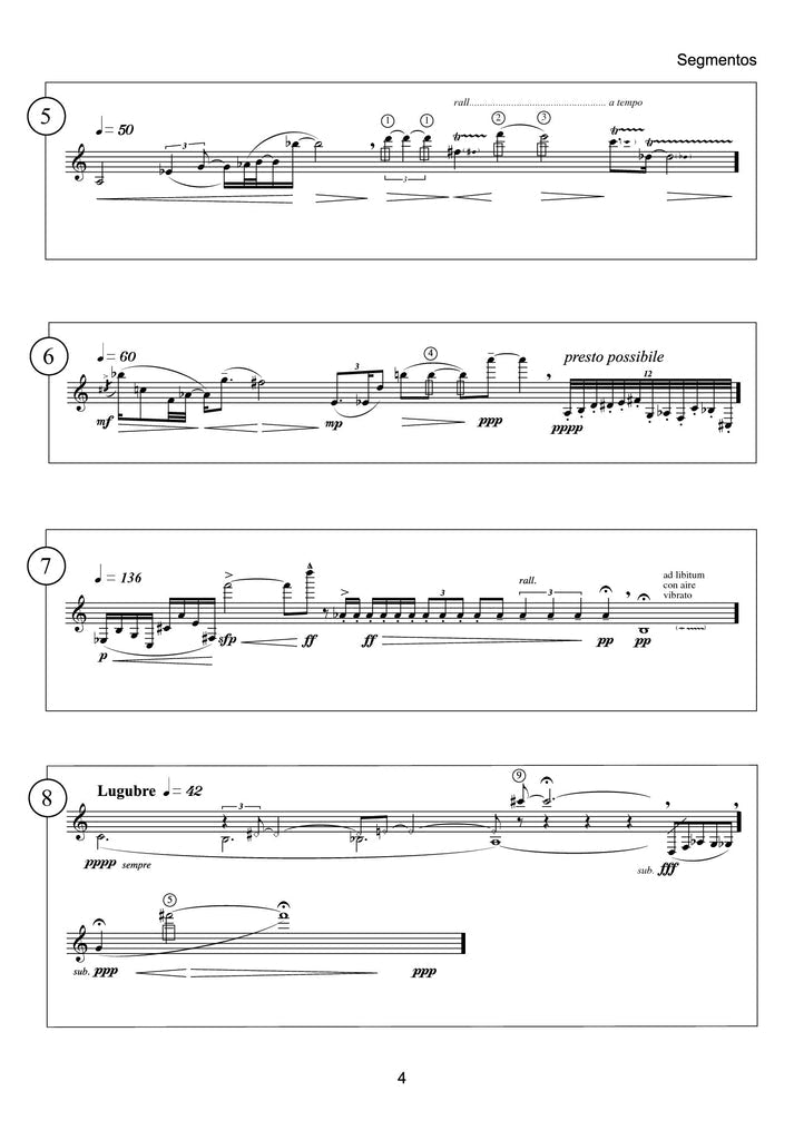 Sparnaay - Segmentos for Bass Clarinet Solo