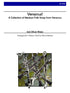 Riojas (arr. Johnston) - Veracruz! for Clarinet Choir
