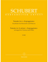 Schubert - Sonata in A minor, 'Arpeggione' for Clarinet and Piano