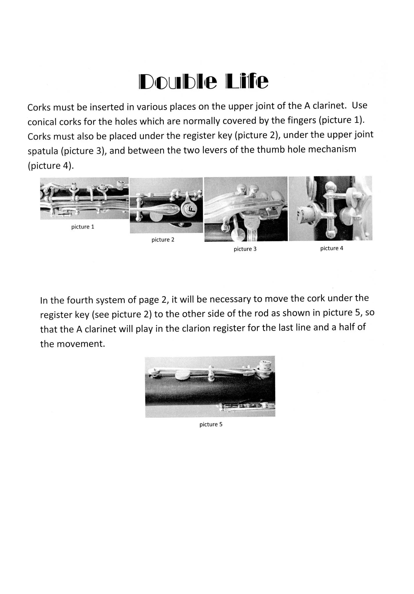 Mandat - Double Life for Solo Clarinet