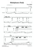 Baez - Multiphonic Study for Solo Bass Clarinet